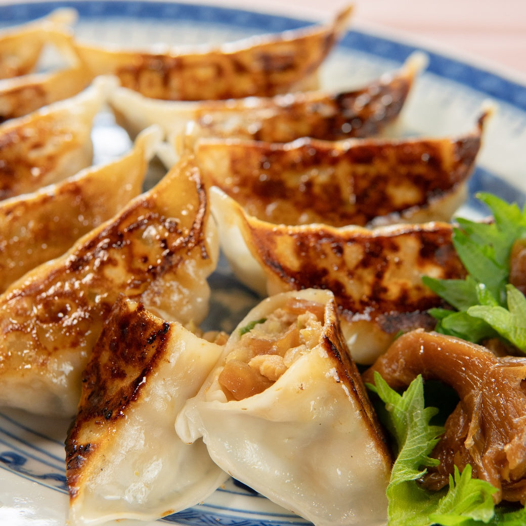 日光D系餃子 35g×20個【冷凍】